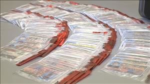 fake id cards usa